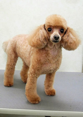 森崎ネネちゃん