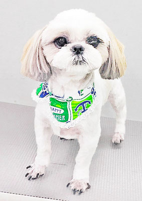 久永ナルちゃん