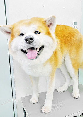 池川空ちゃん