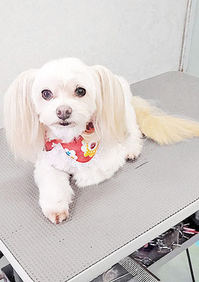 大脇ココアちゃん