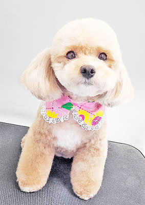 丸山小琴ちゃん