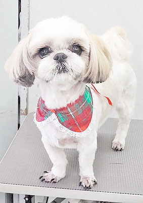 久永ナルちゃん