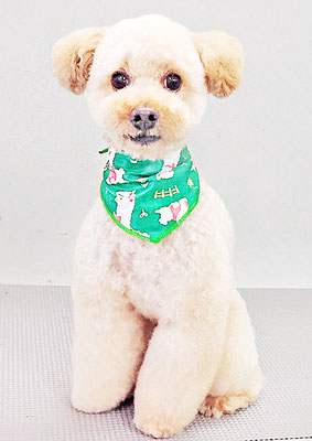 藤久保くうたちゃん