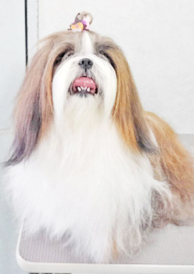 眞邉ももちゃん