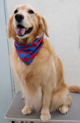 菊川チェリーちゃん