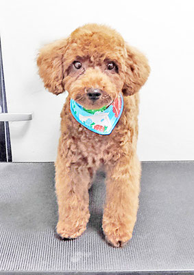 桐原るるちゃん