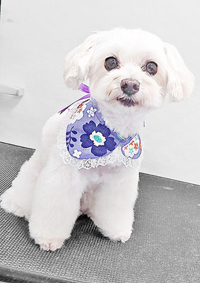 濱島クレアちゃん