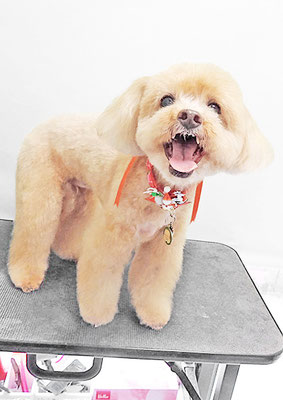 堀内まりもちゃん