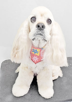 福富ベリーちゃん