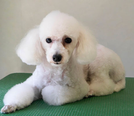 梶原ハッピーちゃん