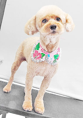 玉利ココちゃん