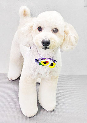 長谷ラナちゃん