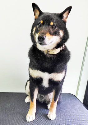 貴島ボタンちゃん