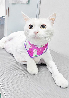 谷口シャルロットちゃん