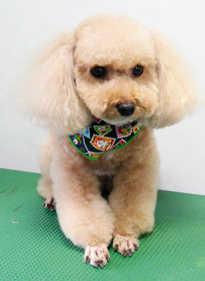 肥田クゥちゃん