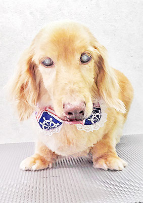 前薗パルちゃん