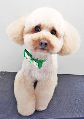 藤久保くうたちゃん