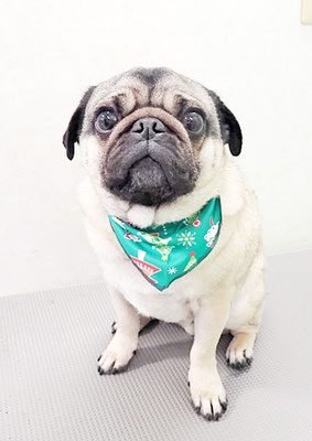 田邊ギンちゃん