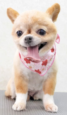 川田オカンちゃん