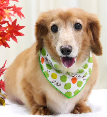 別府リンちゃん