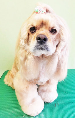 高尾ミルクちゃん