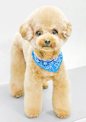 二見りくちゃん