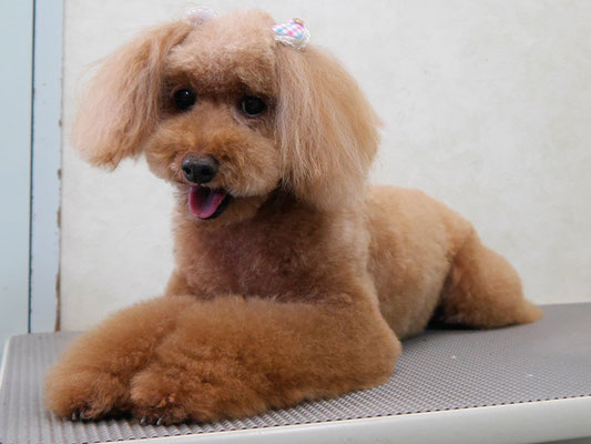 上小鶴チェリーちゃん