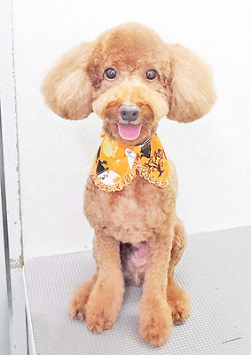 鶴虎太郎ちゃん