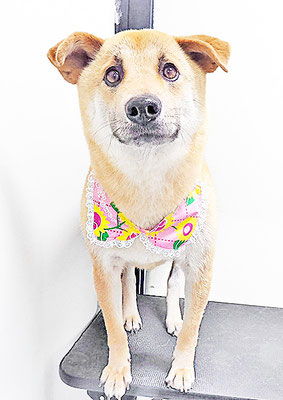 水口ラッキーちゃん