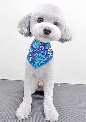 猿川ライフちゃん