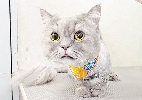 馬場メイちゃん