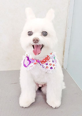 中村ココちゃん