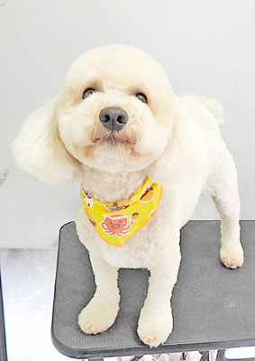 有村ルークちゃん