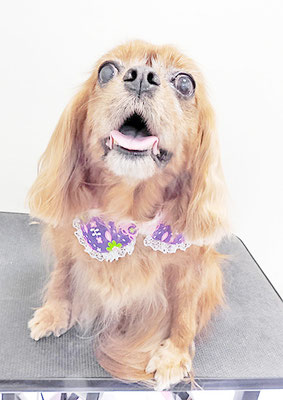 橋口ルビーちゃん