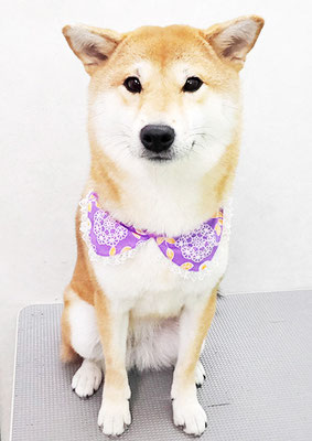 玖須ルビーちゃん