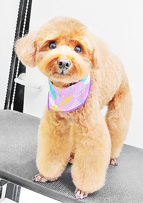 吉村弦之介ちゃん