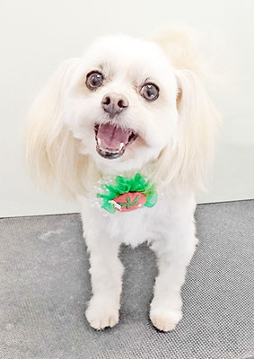 大脇ココアちゃん