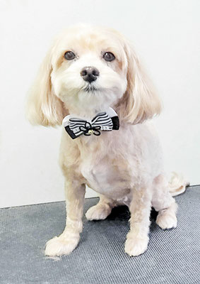 中村ももたろうちゃん