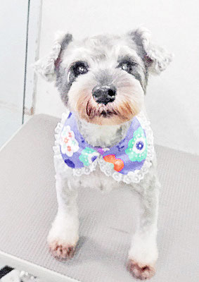 新田つむぎちゃん