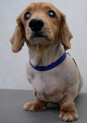 上野モンタちゃん