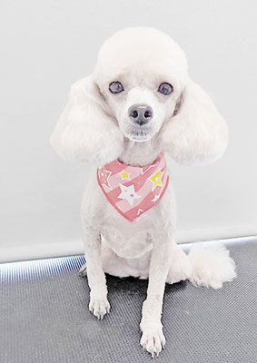 新留モコちゃん