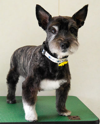 蔵薗ヒメちゃん