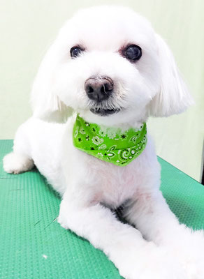 山口フウタちゃん