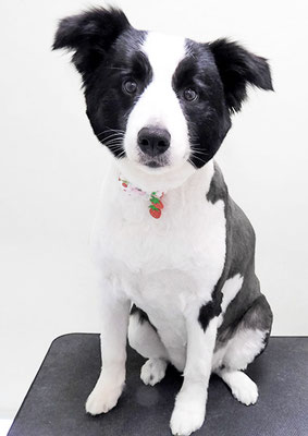 中薗シェリーちゃん