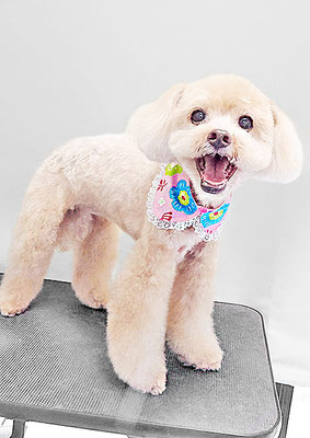 堀内まりもちゃん