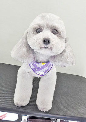 田中ロビンちゃん