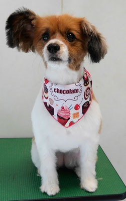 玉利ユズちゃん