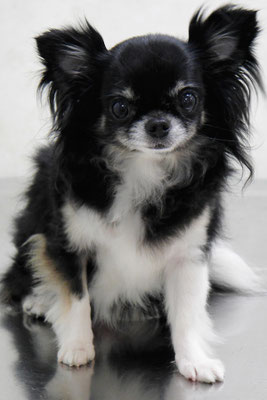 森崎クロちゃん