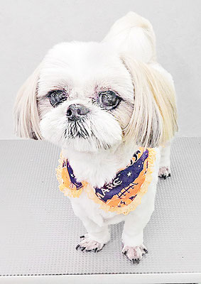 久永ナルちゃん