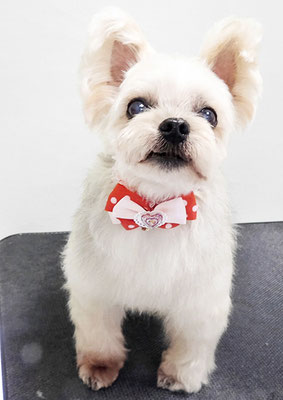 岡元ベリーちゃん